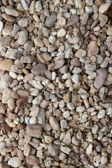 Variety of Rocks and Pebbles with Natural Debris Background