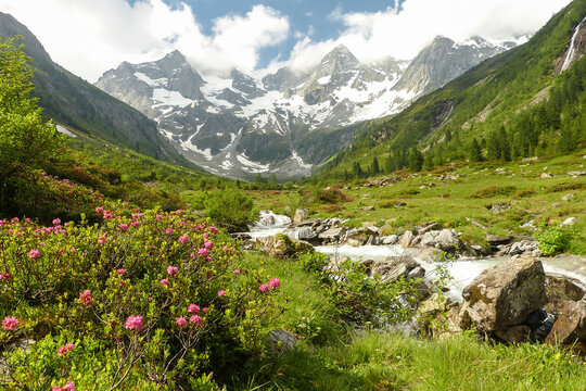 herrliche Berglandschaft mit Gebirgsbach und Gletscher im Zillertal in Tirol