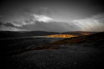 Thick fog in the mountains in the north of Russia, many plants on the ground 