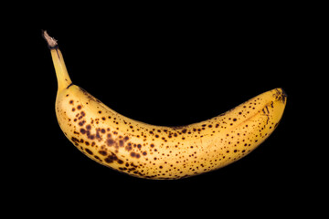 Rotten banana isolated on black background. Expired fruit.