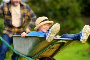 Happy little boy having fun in a wheelbarrow pushing by dad in domestic garden on warm sunny day....