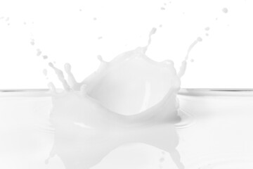 Splashes of milk on white background