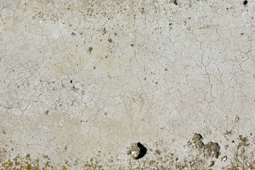 Old grey concrete wall with concrete texture for background. Front view with copy space.