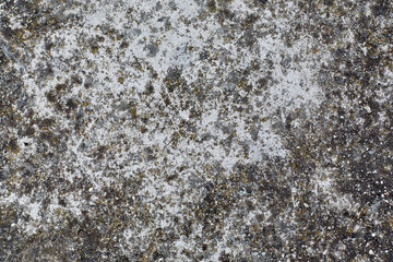 
Old grey concrete wall with concrete texture for background. Front view with copy space.