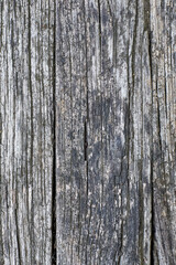 Old cracked wood plank background. Wood texture. Front view with copy space.