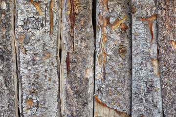 Old cracked wood plank background. Wood texture. Front view with copy space.