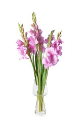 Vase with beautiful gladiolus flowers on white background