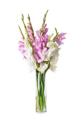 Vase with beautiful gladiolus flowers on white background