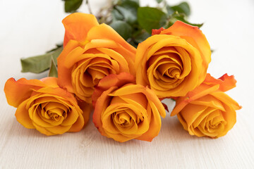 decorating a wooden table with a bouquet of yellow roses with a freshly flowered orange edge, detail of the petals and texture, nature in studio, romantic gift