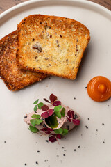Goose pate with fresh colorful sprouts, served with golden crispy slices of bread, close up