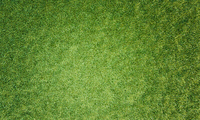 Fototapeta na wymiar Top view Fresh green lawn For football and soccer fields or golf courses. For use to make background or wallpaper garden. Fresh green grass for a playground. 3D Rendering