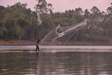 Fototapeta premium ducks in the lake