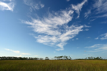 Fototapeta na wymiar Beautiful high altitude late summer cloudscape over sawgrass prairie in Everglades National Park,Florida.