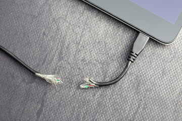 Gnaw or cut out Damaged peripheral wire, trouble connection transfer on mobile device. Concept broken or lack of electric power supply - obrazy, fototapety, plakaty