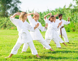 Naklejka na ściany i meble Group of young children doing karate kicks during karate class in summer park