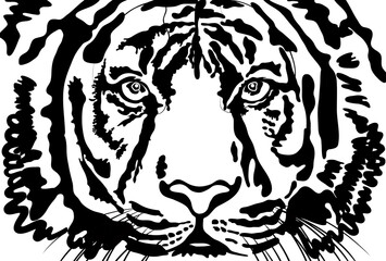 正面を向いている虎の顔のアップの白黒イラスト【葉書サイズ】