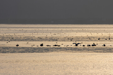 風景素材　冬の琵琶湖の美しい黄昏