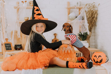a baby girl with blue eyes and long white hair in a Halloween witch costume and a tiny dachshund in...