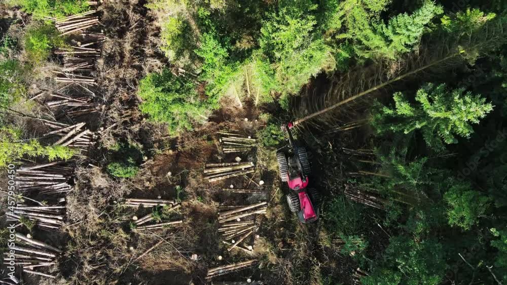 Poster top down view of logging equipment in action at the forest - processing spruce forest. mechanic tool