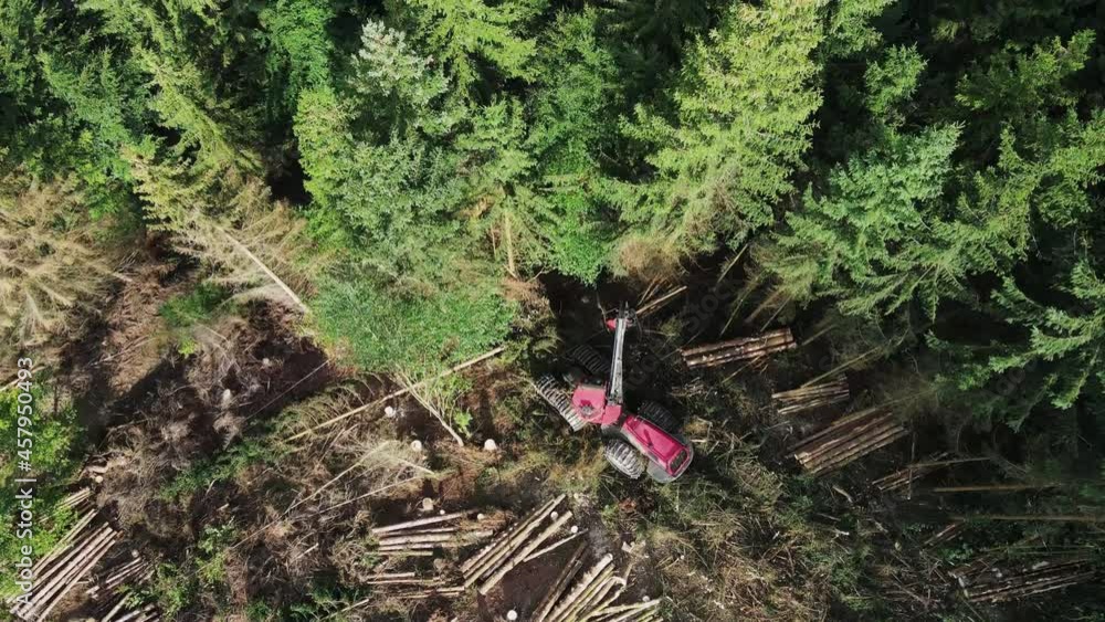 Poster top down view of logging equipment in action at the forest - processing spruce forest. mechanic tool