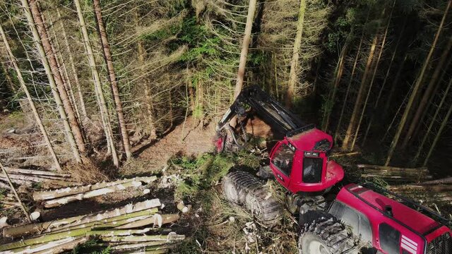 Aerial shot. Mechanical arm of a specialized Bark Removing Machine strips the bark from a freshly chopped tree trunk in a forest. Logging Equipment Forestry Industry Machine