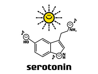 セトロニン分子のベクトル図_太陽あり