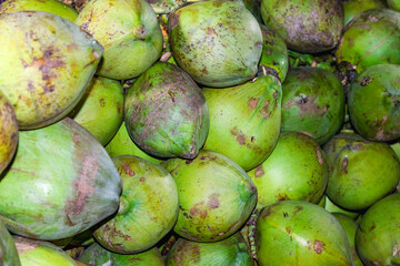 Close up view of a pile of organized green raw coconuts