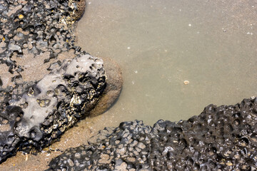 Rough stone near the seashore close up view