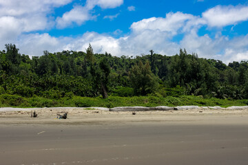 Tropical sandy sea beach near the green forest