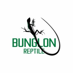 chameleon illustration vector, chameleon text in Indonesian