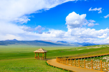 Wood board road and Green grassland natural landscape in Xinjiang,China.
