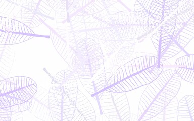 Light Purple vector elegant wallpaper with leaves.