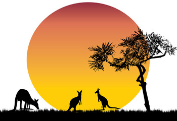 Fototapeta na wymiar pandanus tree moon and kangaroo