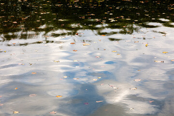 Abstract reflections on water with autumn leaves