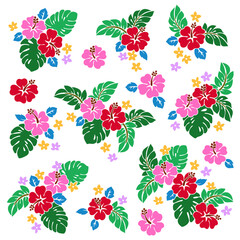 Tropical flower vector illustration material collection,