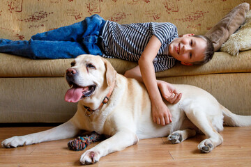 happy smiling boy playing with old labrador retriever dog. Little boy and large dog at home....