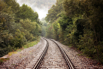 Fototapeta na wymiar Railway track on a forest path