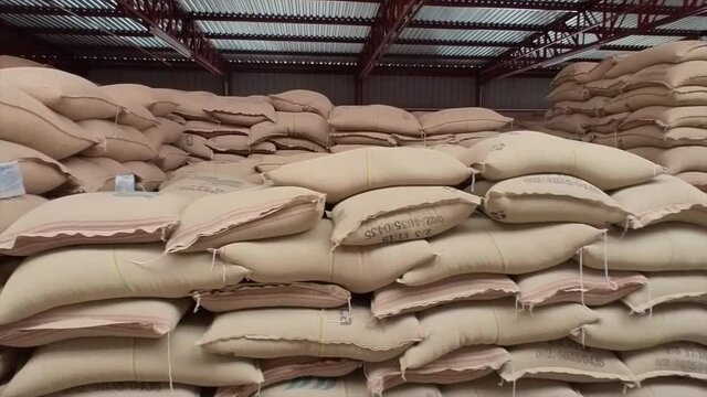 export coffee bags stacked in factory