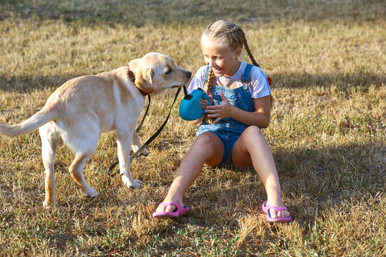 A little girl plays with a Labrador puppy on a walk
