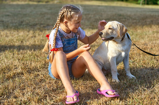 A little girl plays with a Labrador puppy on a walk