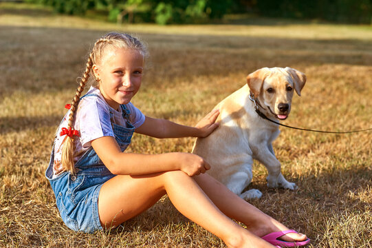 A little girl plays with a Labrador puppy on a walk