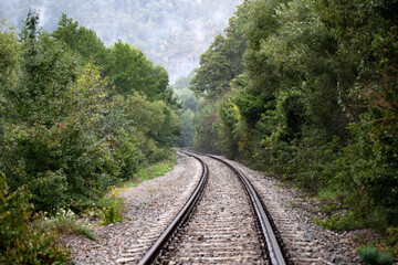 Railway track on a forest path