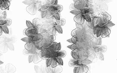 Light Gray vector natural background with flowers.