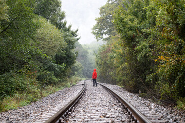 Persone walking on railroad in the forest