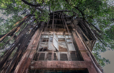 Look up to abandoned building with big old tree and green leaves covered and was left to...