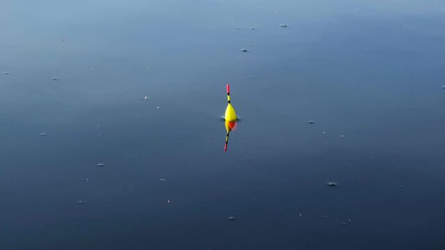 Fishing on the lake. The float for fishing floats on the surface of the water of the reservoir. The concept of fishing, outdoor activities, hobbies 