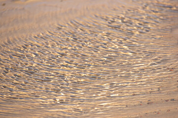 The play of light on a thin layer of water.