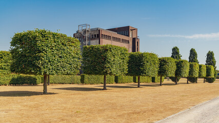 A row of pruned trees on a dried up meadow, with the ruin of an old coal bunker in the background,...