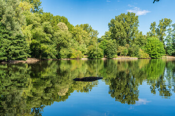 Fototapeta na wymiar View over the pond of the park in Sterkrade, Oberhausen, North Rhine-Westfalia, Germany