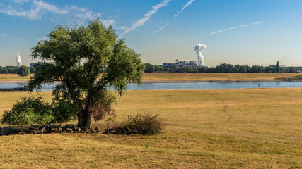 A flock of sheep hiding from the heat in the shadow of some trees, seen at the shore of the River...